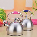 Stainless Steel Thickening Home Whistle Mini Kettle